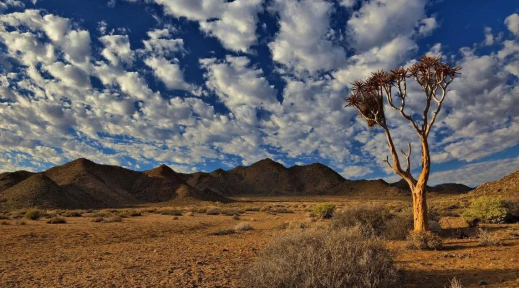 Ai Ais Richtersveld Transfrontier Park