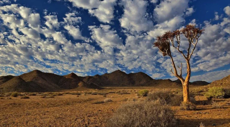 Ai Ais Richtersveld Transfrontier Park