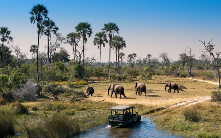 First-Time Safari Guide