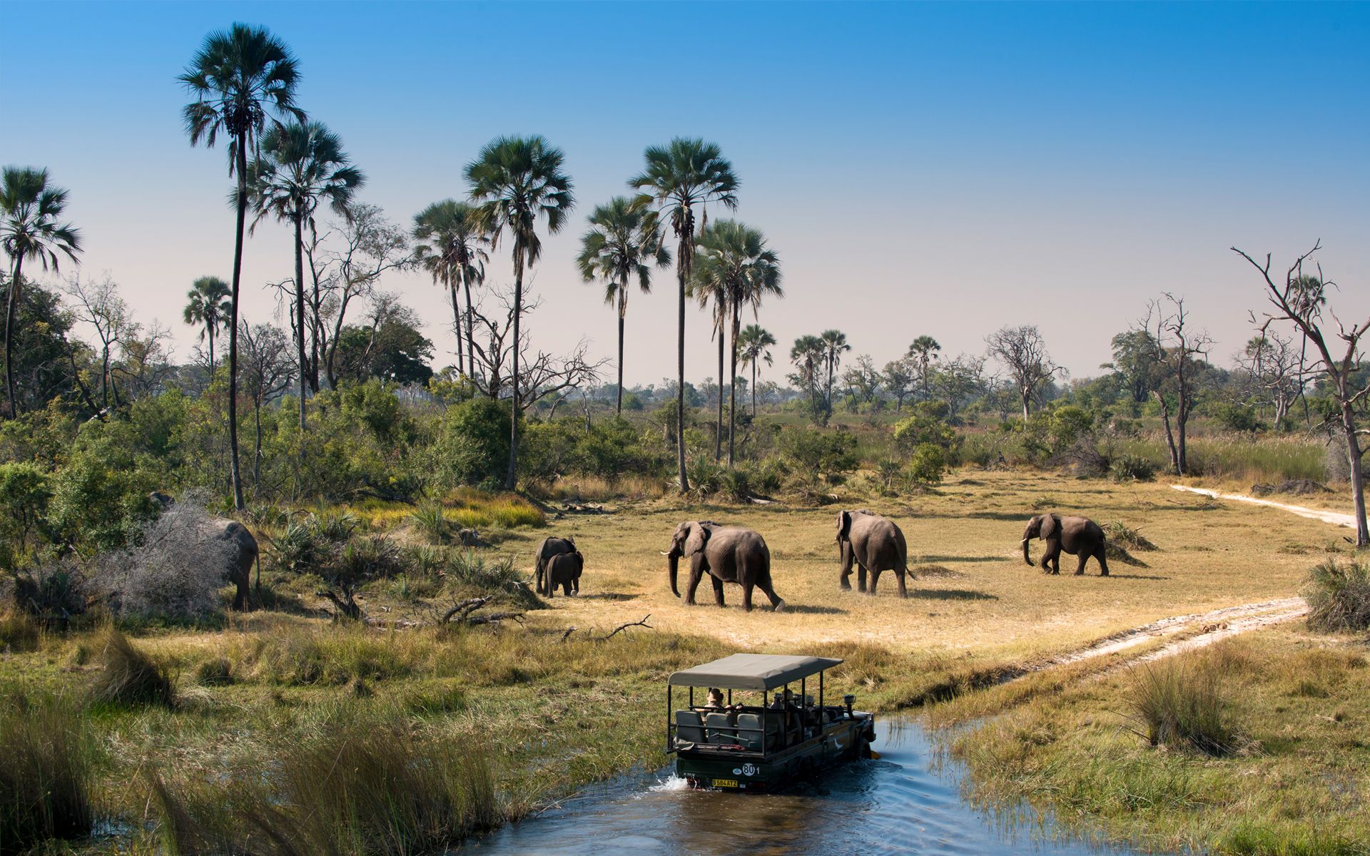 Glamping in Botswana