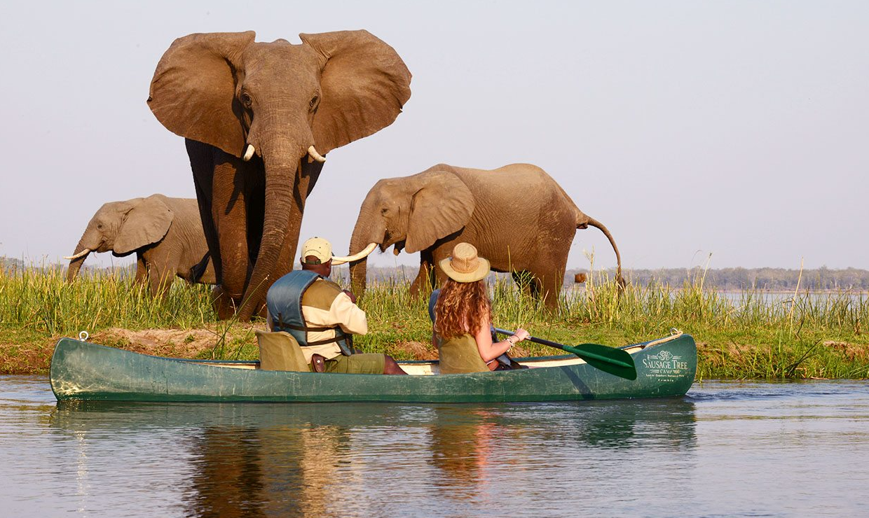 Canoe & Boat Safaris