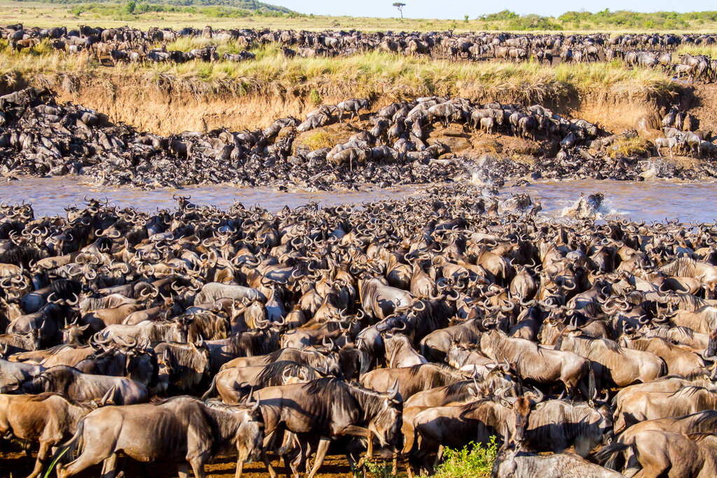 Great Migration