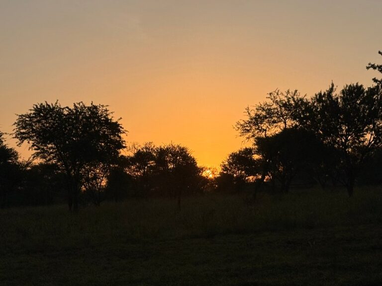 Osero Serengeti Luxury Tented Camp