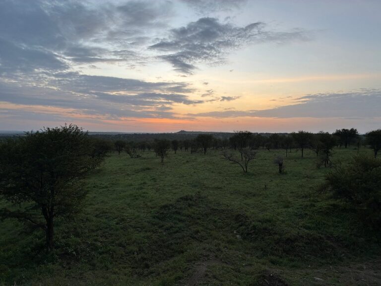 Osero Serengeti Luxury Tented Camp