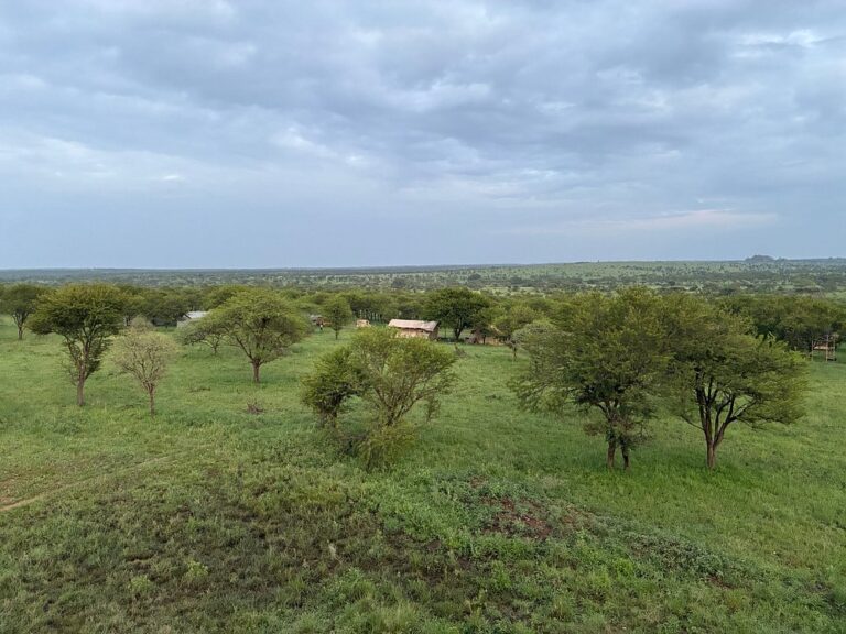 Osero Serengeti Luxury Tented Camp