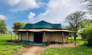 Osero Serengeti Luxury Tented Camp