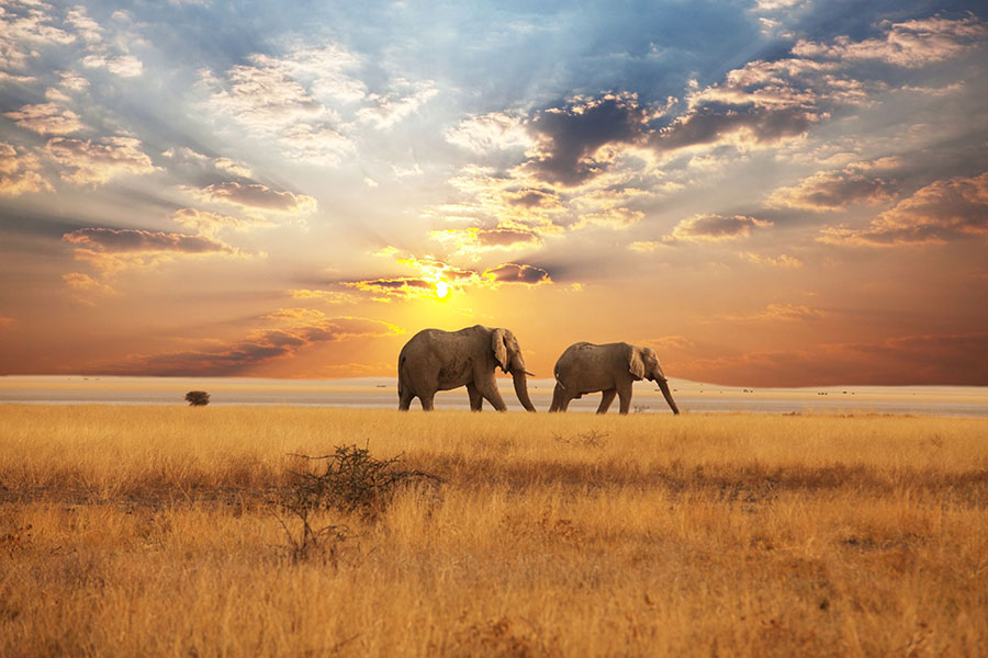 Glamping in Tanzania