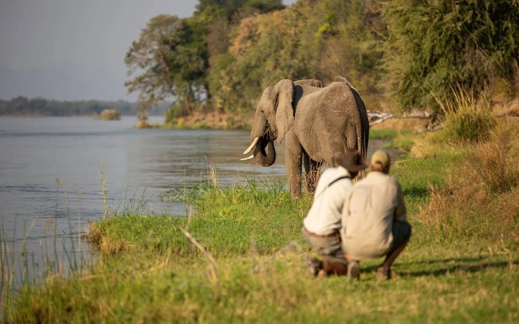 Glamping in Zimbabwe