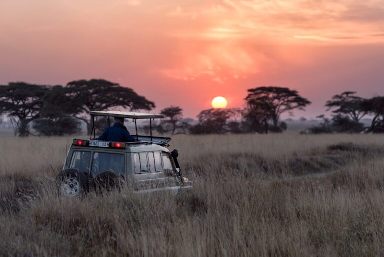 Xigera Safari Lodge — Gallery 1