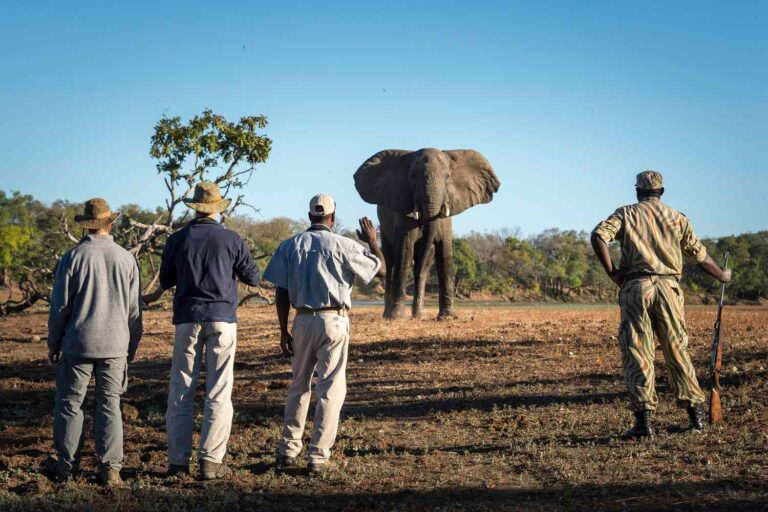 What to Pack for a Safari