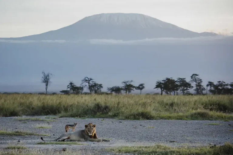 Angama Amboseli