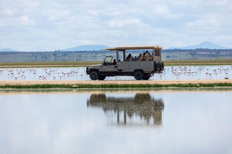 Angama Amboseli