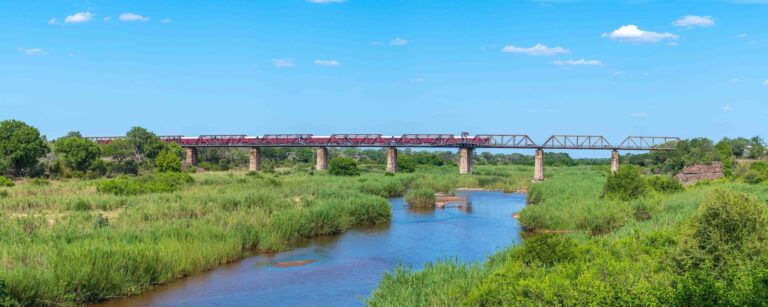 Kruger Shalati