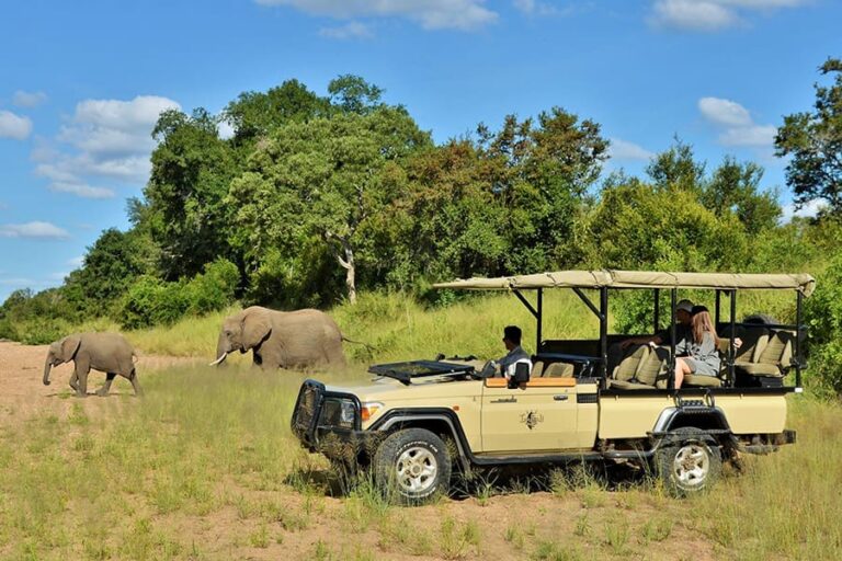 Imbali Safari Lodge