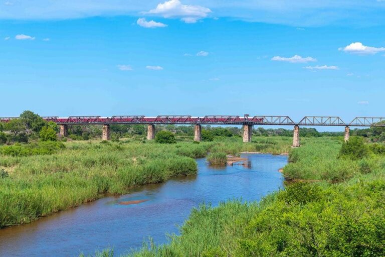 Kruger Shalati