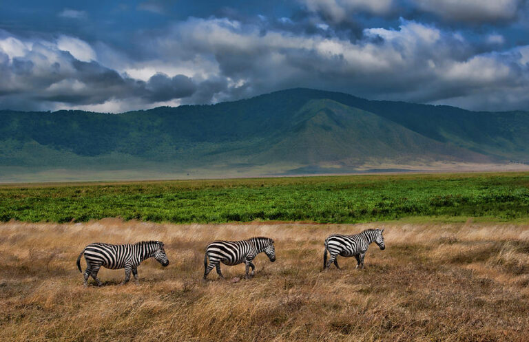 andBeyond Ngorongoro Crater Lodge