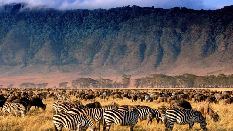 andBeyond Ngorongoro Crater Lodge