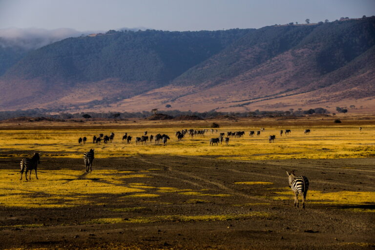 andBeyond Ngorongoro Crater Lodge