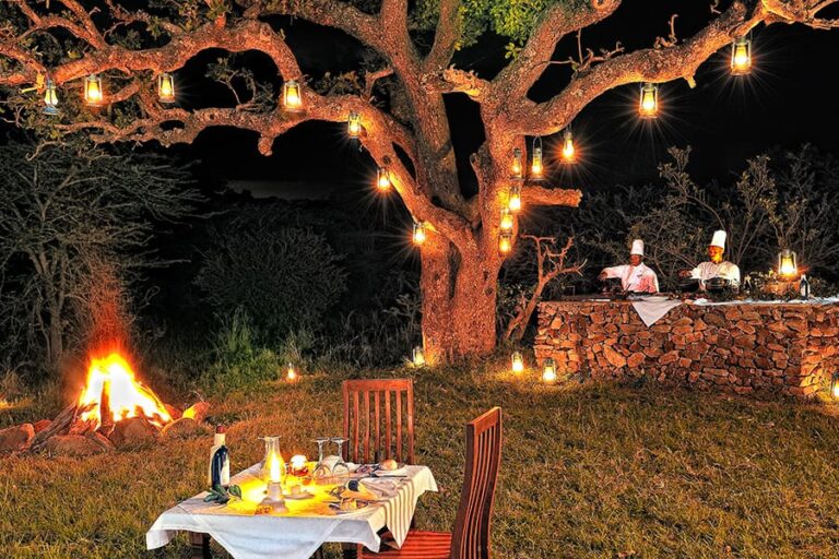 Serengeti Migration Camp