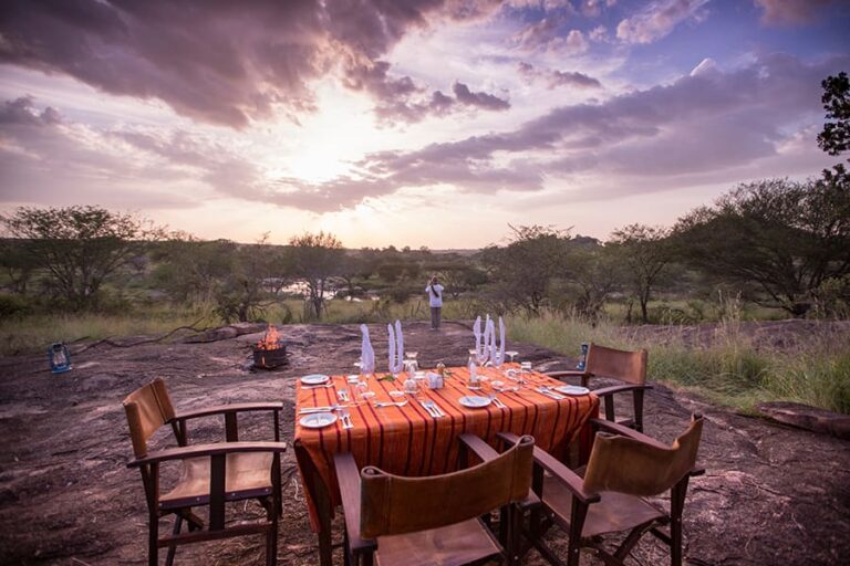 Serengeti Migration Camp