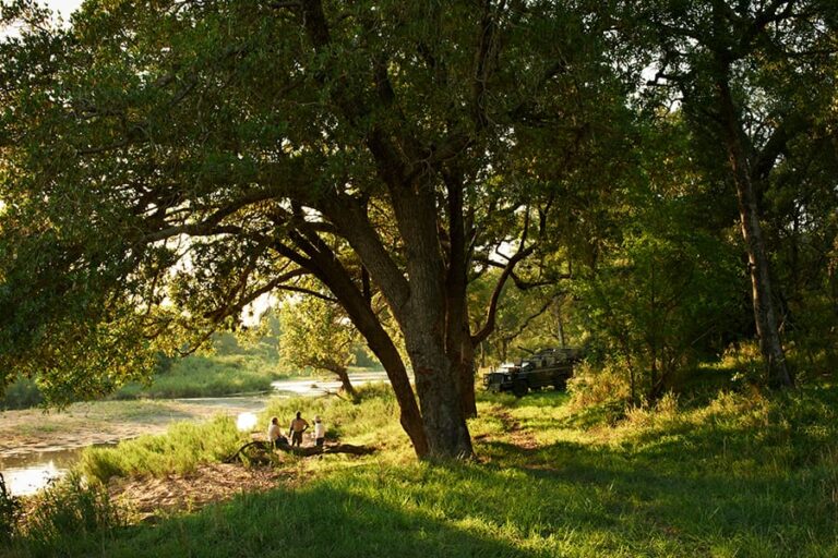 Singita Ebony Lodge