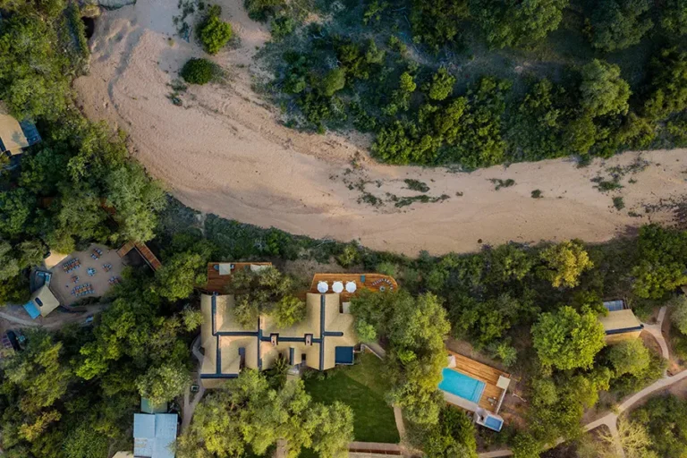 Thornybush Game Lodge