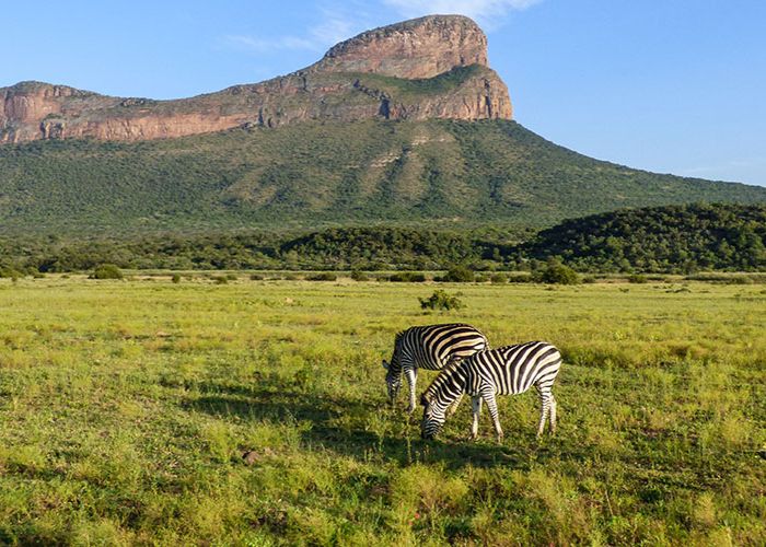 Waterberg Biosphere