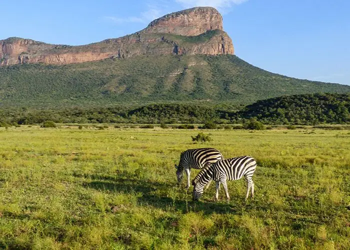 Waterberg Biosphere
