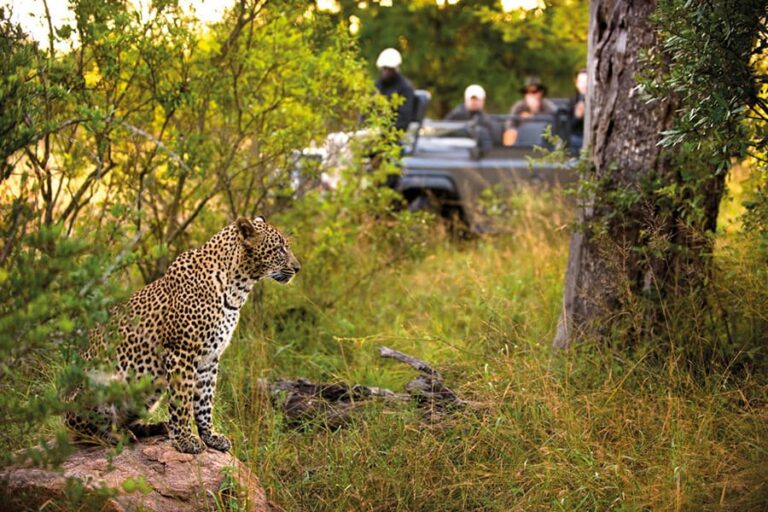 Tinga Lodge