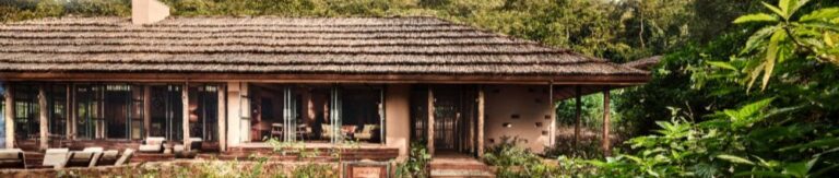 Gorilla Forest Lodge