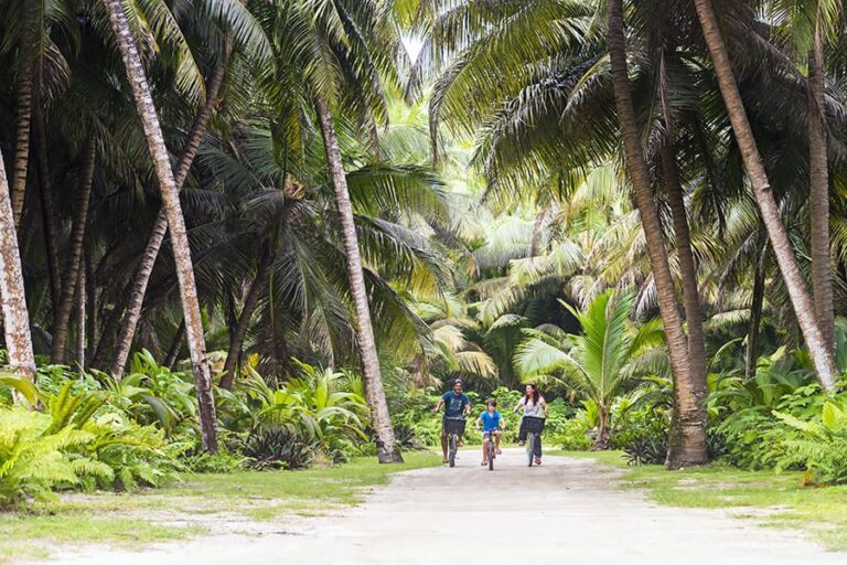 Alphonse Island Lodge
