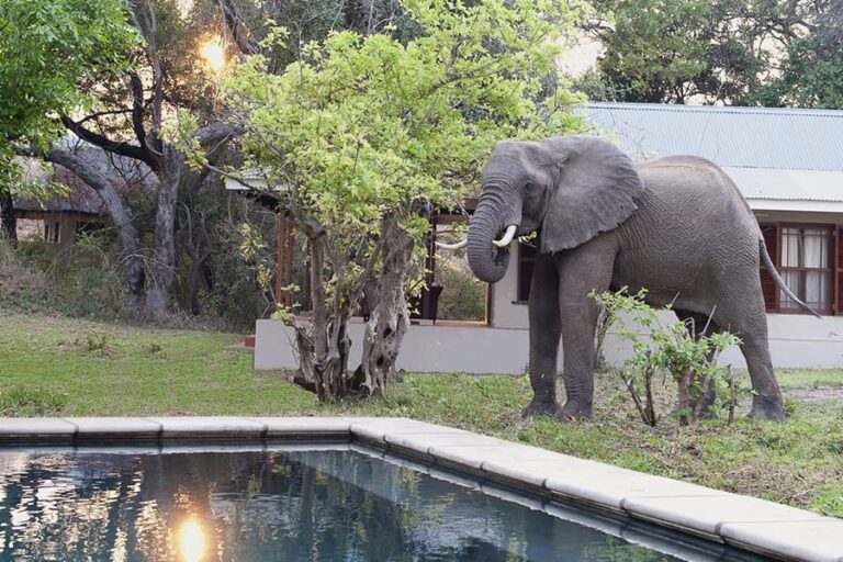 Baines’ River Camp