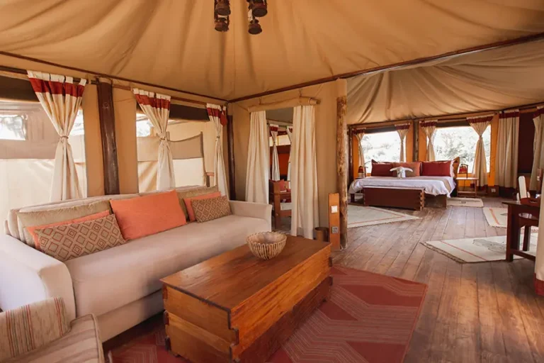 Elephant Bedroom Camp