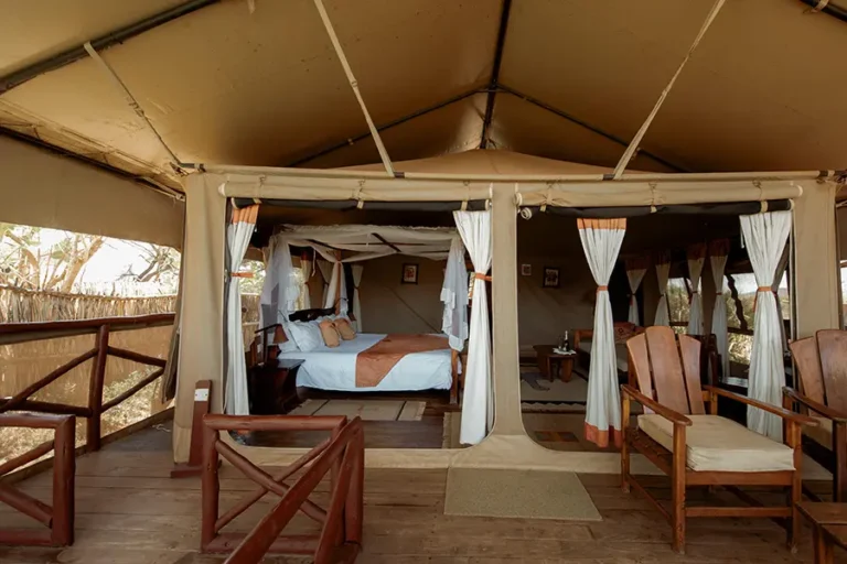 Elephant Bedroom Camp