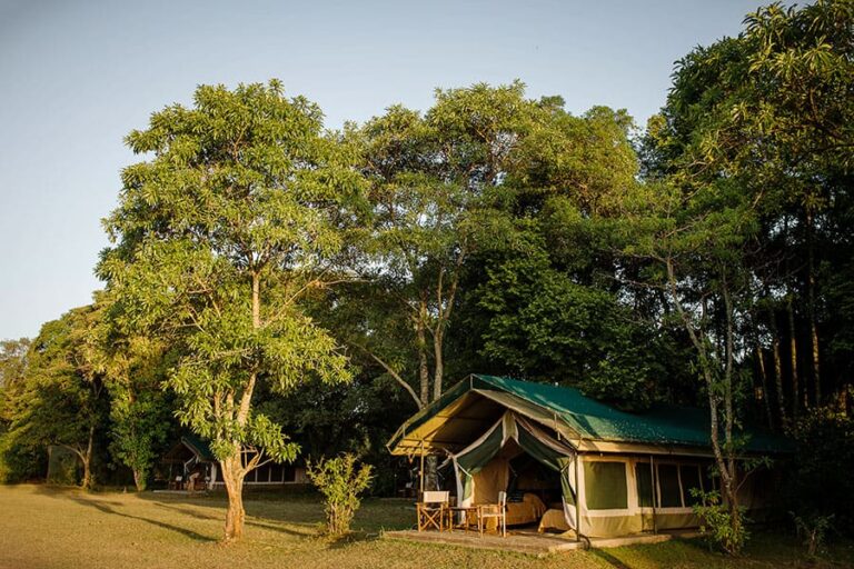 Governors&rsquo; Camp