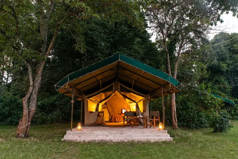 Governors&rsquo; Camp