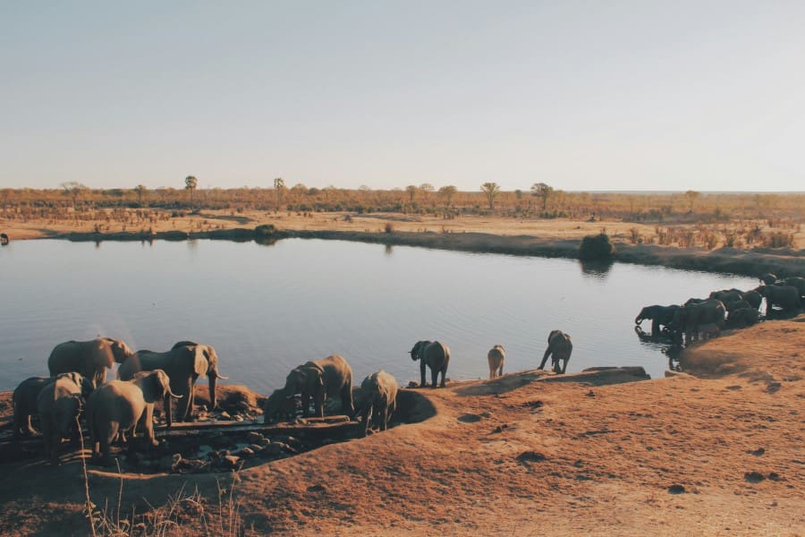 Green Season vs Dry Season Safari: Which Should You Choose?