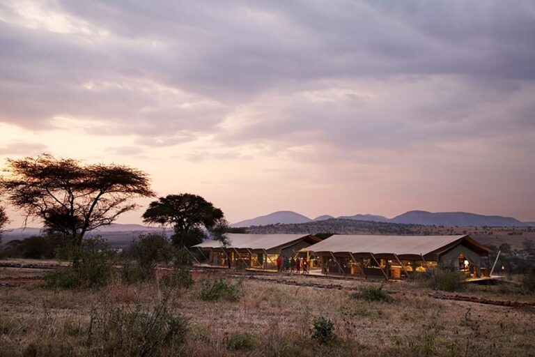 Out of Africa Legend by Laba Explorer