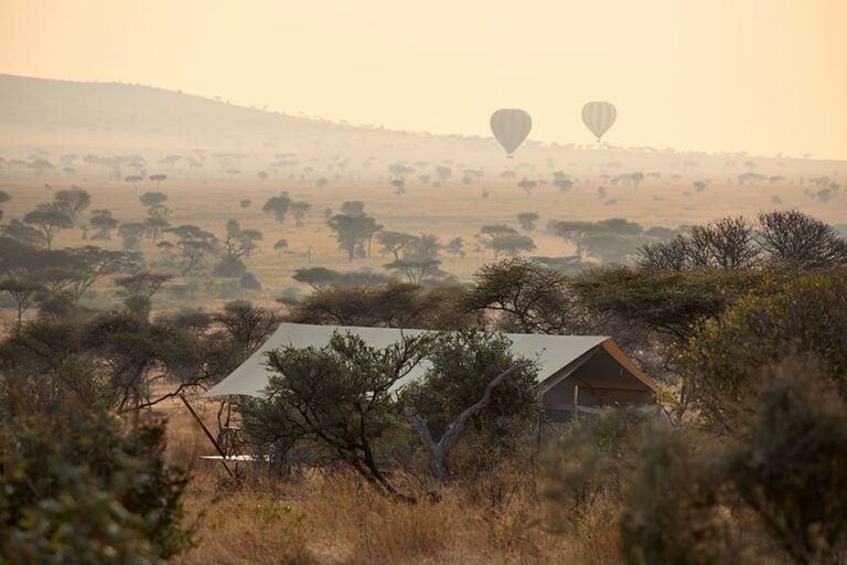 Out of Africa Legend by Laba Explorer