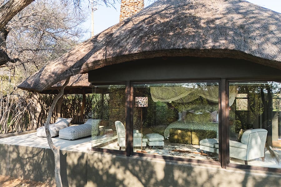 Last Word Makanyane - Luxury Suites