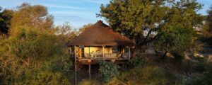 Motswari African Retreat & Walking Safaris