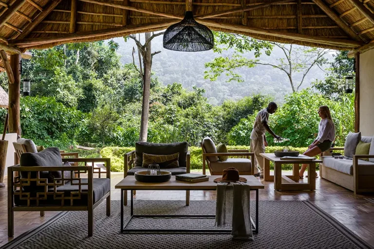 Gorilla Forest Lodge