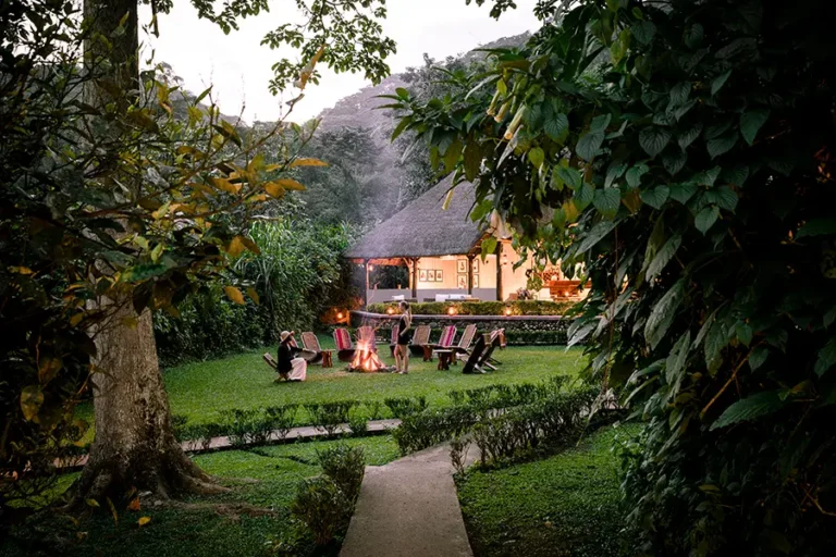 Gorilla Forest Lodge