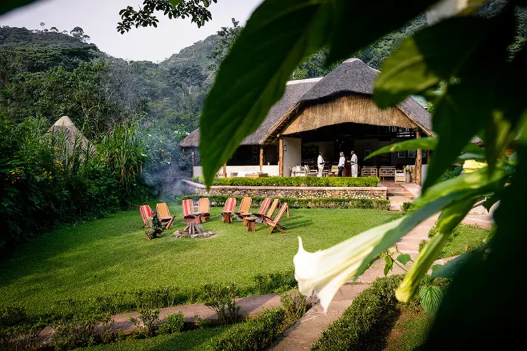 Gorilla Forest Lodge