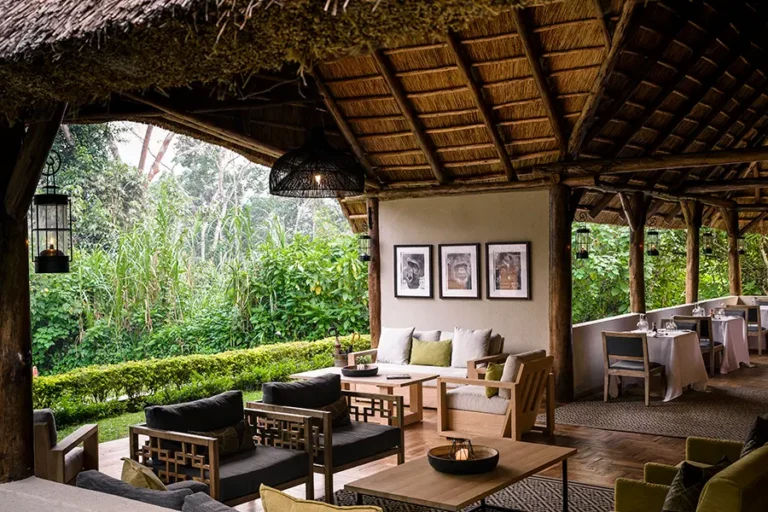 Gorilla Forest Lodge