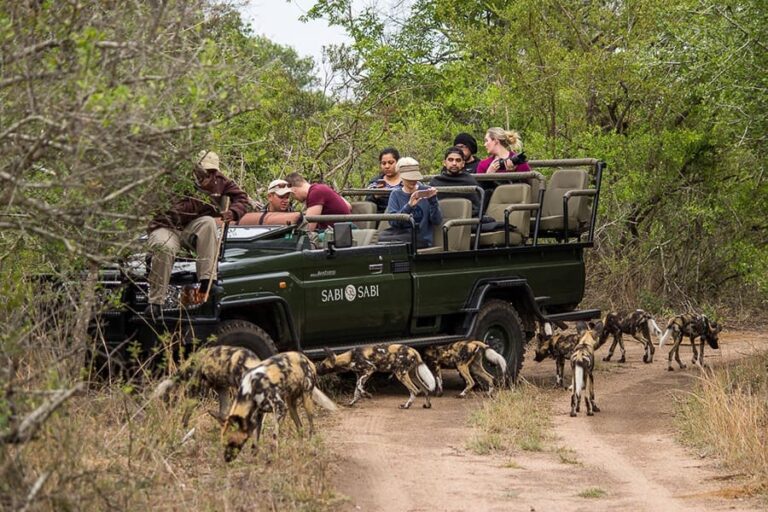 Sabi Sabi Selati Lodge