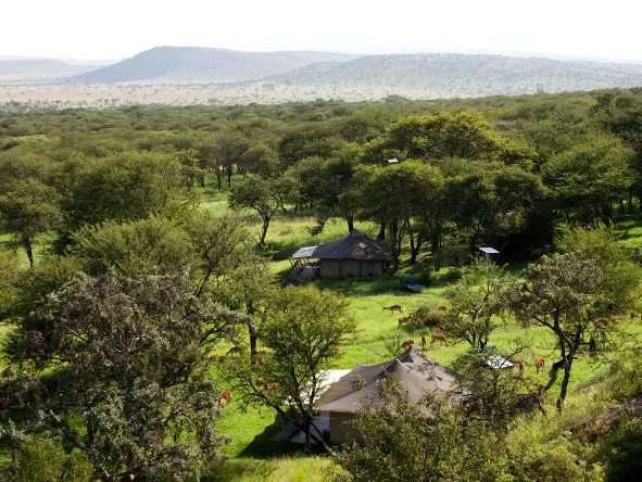 Serengeti Pioneer Camp