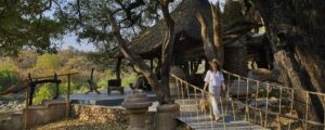 Toro River Lodge