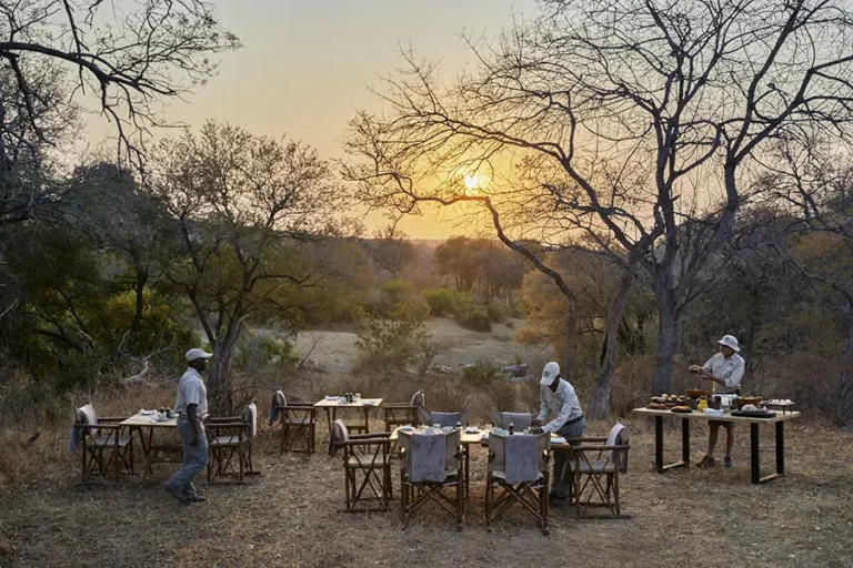 Toro River Lodge