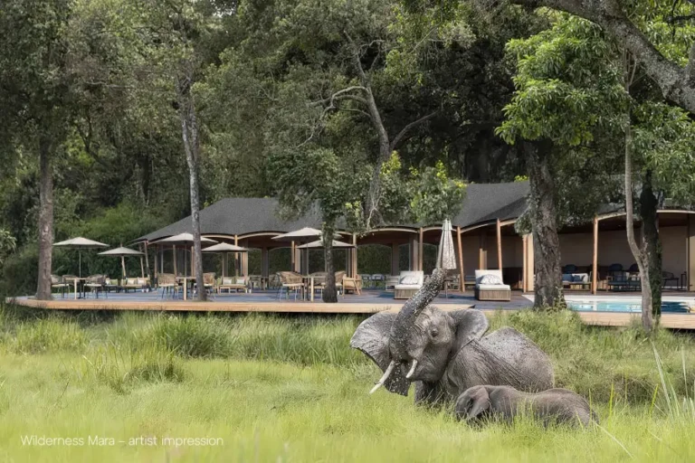 Pool area at Wilderness Mara, Maasai Mara, Kenya